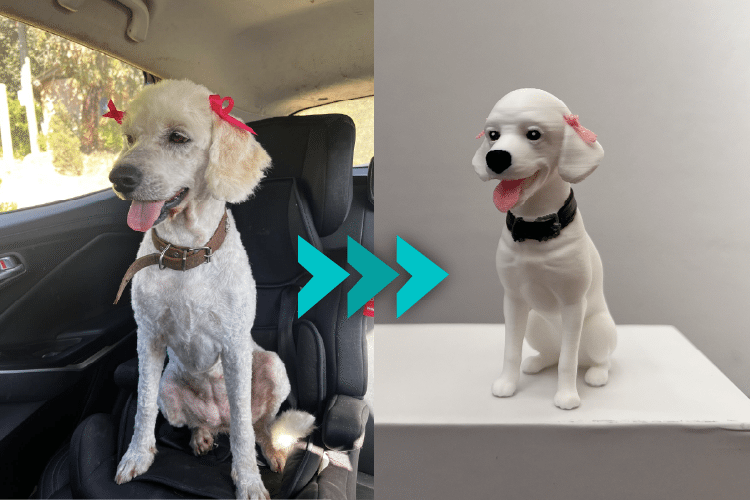 ¿Cómo funciona de Fotografía a Figura 3D?