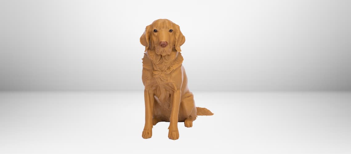 Mascotas en 3D